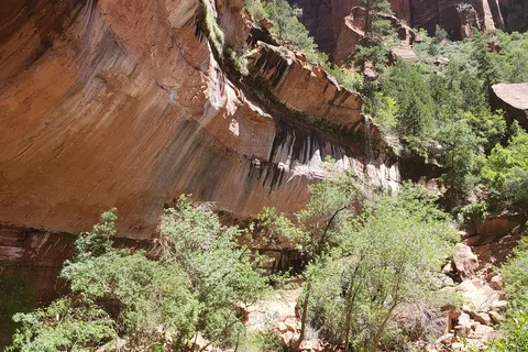 Watchman Campground - Zion National Park