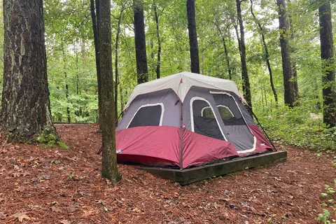 Jeff Busby Campground - Natchez Trace Parkway