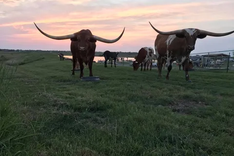 Longhorn RV Resort