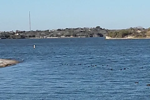 Opossum Bend - Lake Corpus Christi State Park