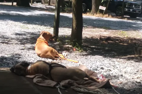 Oma's Family Campground