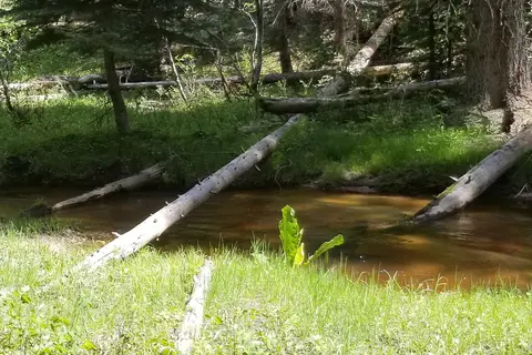 Flodelle Creek Campground