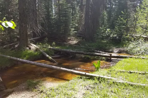 Flodelle Creek Campground