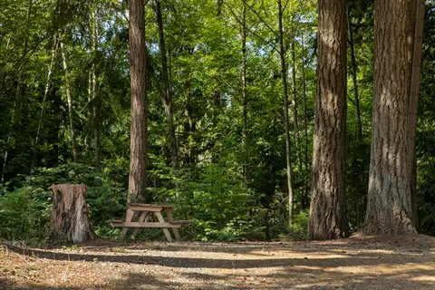 Gig Harbor RV Resort