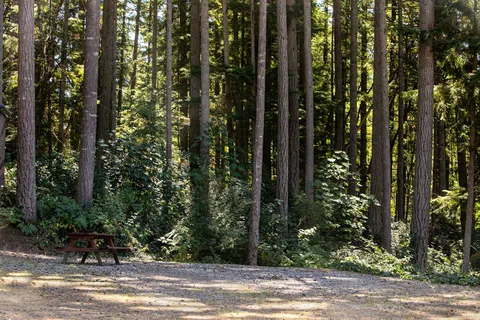 Gig Harbor RV Resort