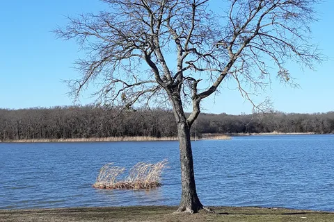 Martins Landing - Lake Murray State Park