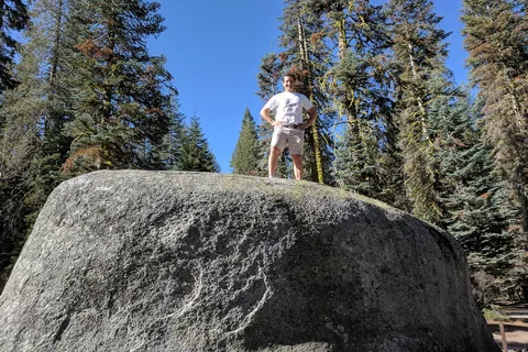 Tamarack Flat - Yosemite National Park