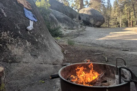 Tamarack Flat - Yosemite National Park