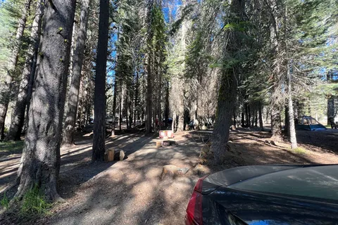 Tamarack Flat - Yosemite National Park