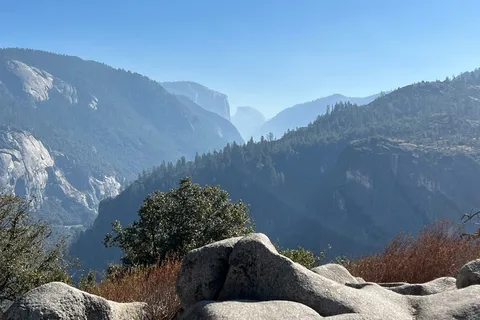 Tamarack Flat - Yosemite National Park