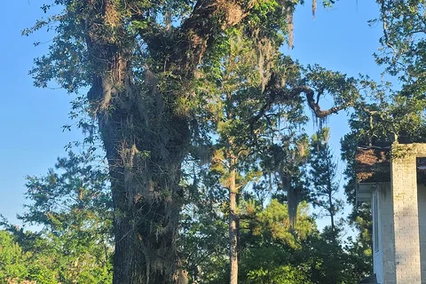 Salt Bayou Kampground