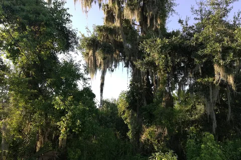 Salt Bayou Kampground