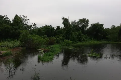 Salt Bayou Kampground