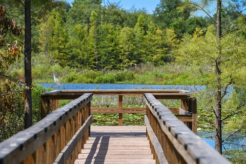 Orchid Lake RV Resort