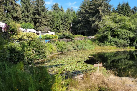 Azalea Glen RV Park and Campgrounds