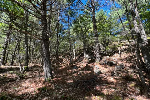 Fairbank Provincial Park