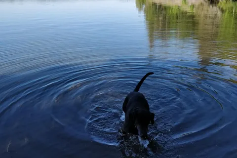 Fairbank Provincial Park