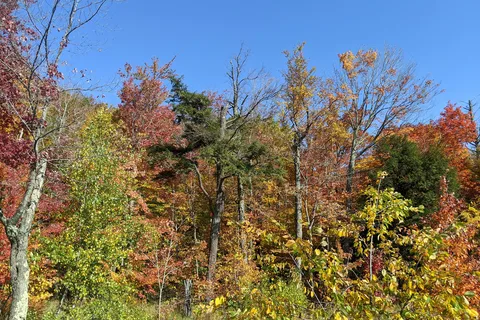 Camping Magog-Orford