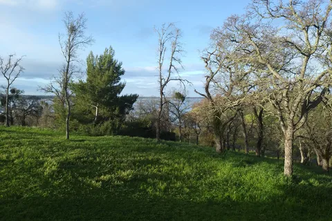 Lake Camanche - North - EBMUD