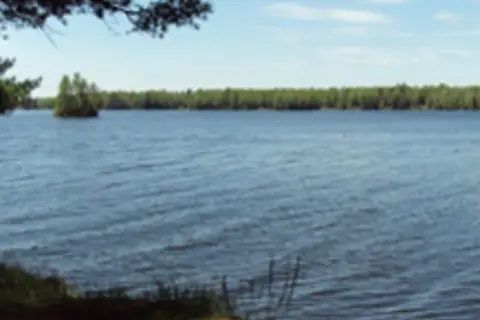 Lake of The Falls County Park