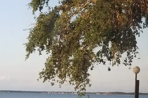 Bay Breeze RV Park