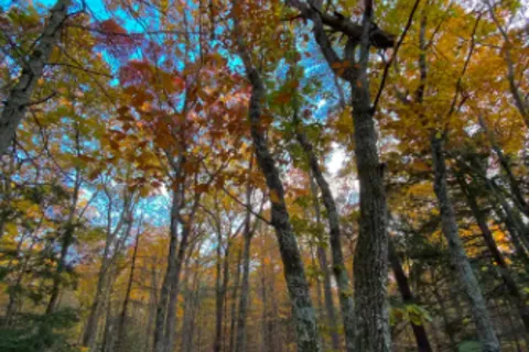 Camp Goat Hill