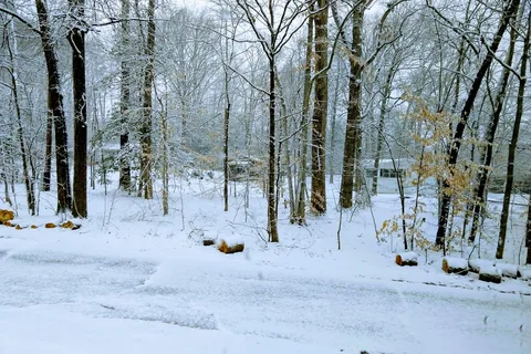 Prince William Forest RV Campground