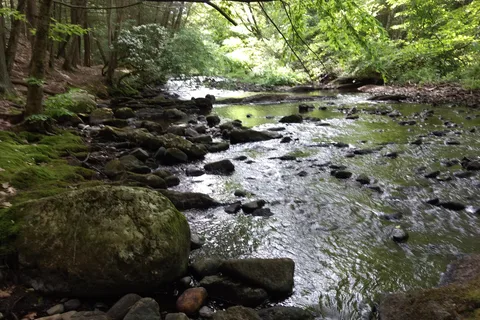 Black Rock State Park