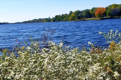 East - Prairie Rose State Park