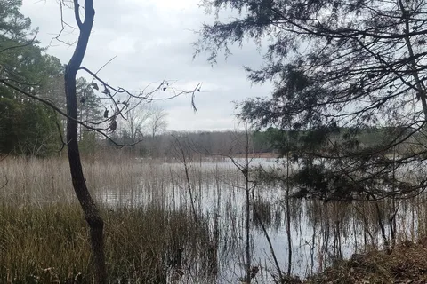 Deer Run and Eagle Ridge - Trace State Park