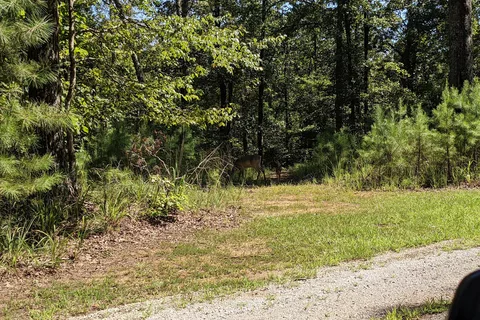 Deer Run and Eagle Ridge - Trace State Park