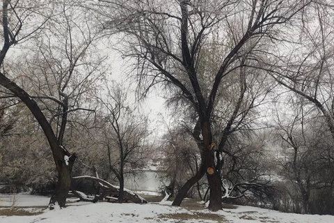 West Side - Rye Patch State Recreation Area