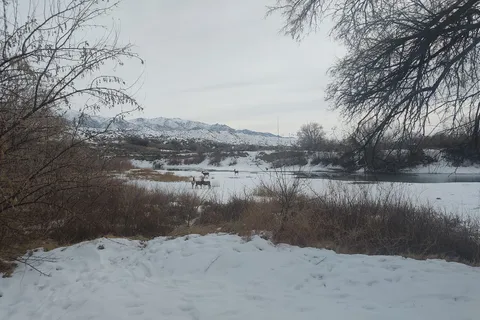 West Side - Rye Patch State Recreation Area