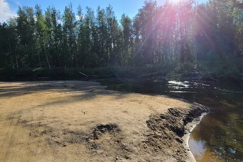 Whitefish Campground - Lower Chatanika State Recreation Area