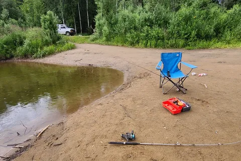 Whitefish Campground - Lower Chatanika State Recreation Area