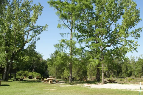 Sugar Sands Campground & Canoeing Outpost