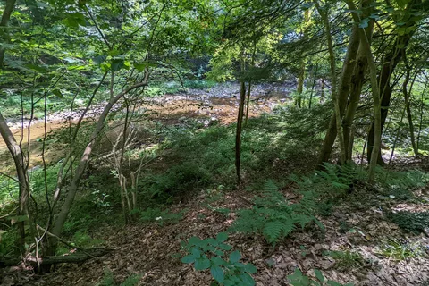 Tomlinson Run State Park