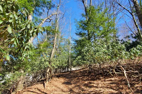 Tomlinson Run State Park
