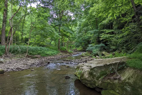 Tomlinson Run State Park