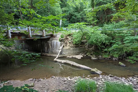 Tomlinson Run State Park