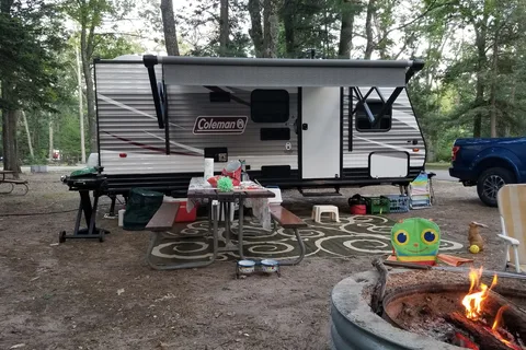North Higgins Lake State Park