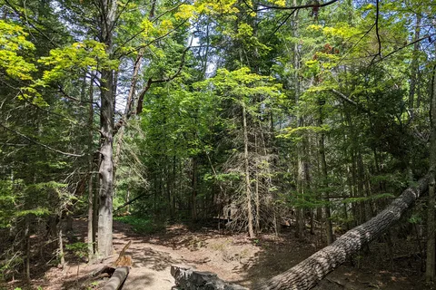 North Higgins Lake State Park
