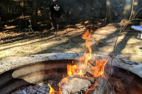 North Higgins Lake State Park
