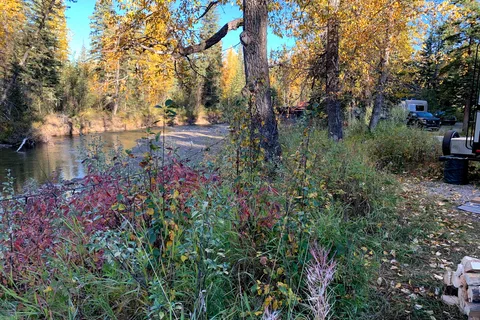 Fallen Timber Recreational Area
