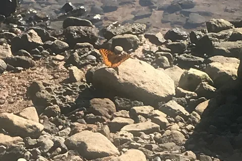 Oak Point - Vega State Park