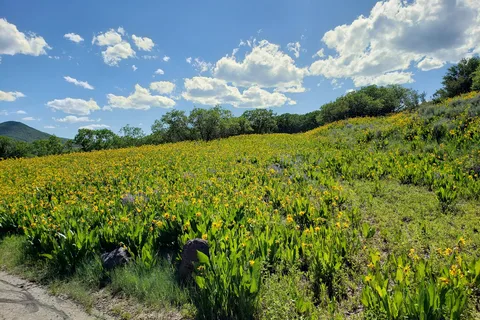 Oak Point - Vega State Park