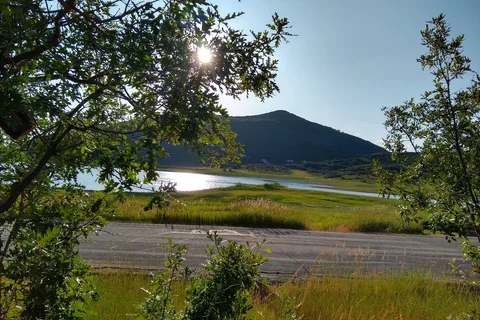 Oak Point - Vega State Park