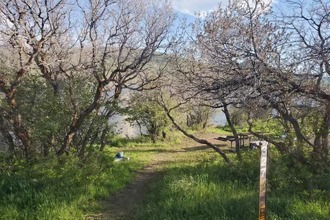 Oak Point - Vega State Park