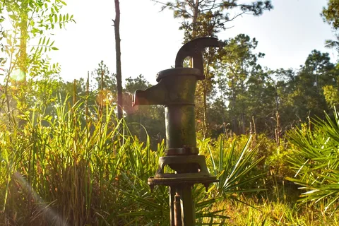 Upper Hillsborough Preserve ~ Alston Tract