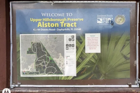 Upper Hillsborough Preserve ~ Alston Tract